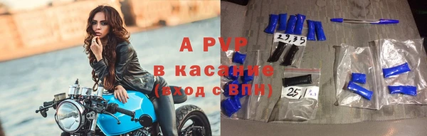 метадон Богданович