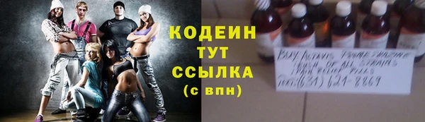 метадон Богданович
