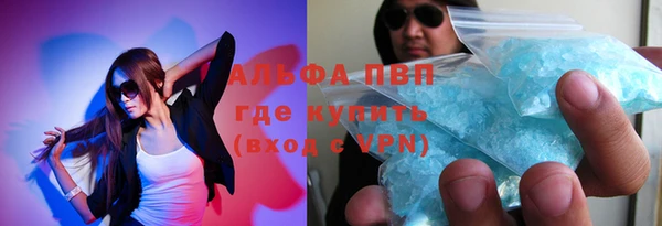 метадон Богданович