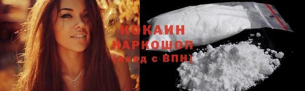 метадон Богданович