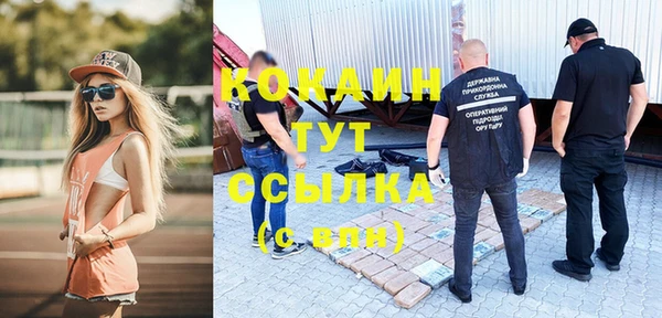метадон Богданович