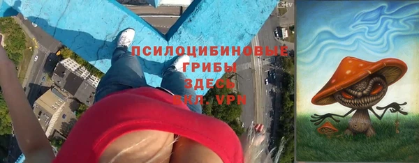 трава Богородицк