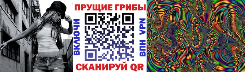 Псилоцибиновые грибы Psilocybe  Щучье 